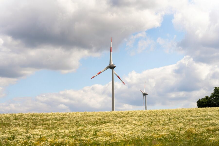 WKC environmental consultancy Proteus